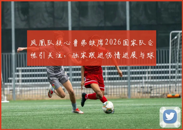 凤凰队核心鲁弗缺席2026国家队合练引关注，独家跟进伤情进展与球队战术调整