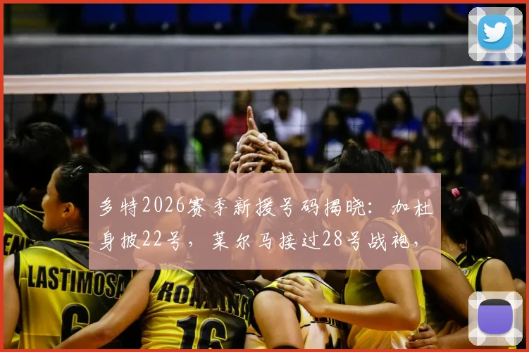 多特2026赛季新援号码揭晓：加杜身披22号，莱尔马接过28号战袍，背后意义与首秀前瞻