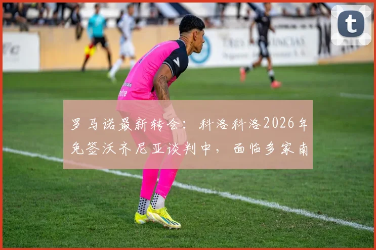 罗马诺最新转会:科洛科洛2026年免签沃齐尼亚谈判中,面临多家南美俱乐部竞争,球员去向分析