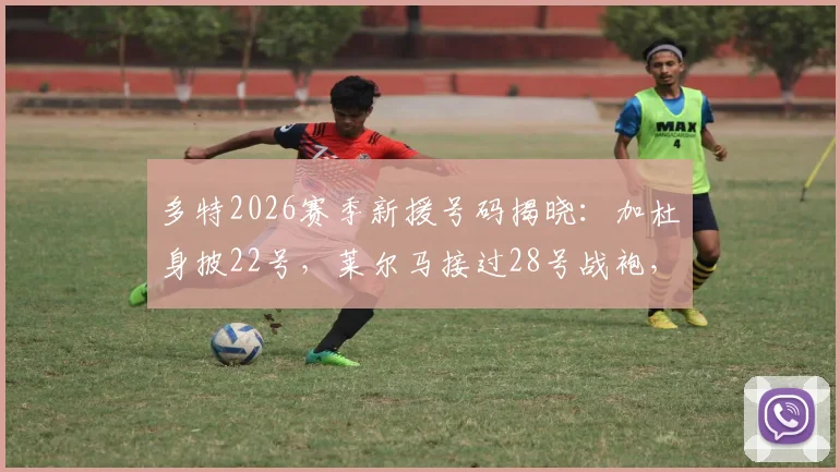 多特2026赛季新援号码揭晓:加杜身披22号,莱尔马接过28号战袍,背后意义与首秀前瞻